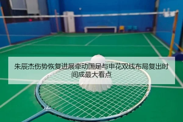 朱辰杰伤势恢复进展牵动国足与申花双线布局复出时间成最大看点